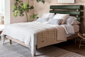 The Great Torrington Bed